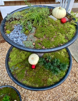Moss containers